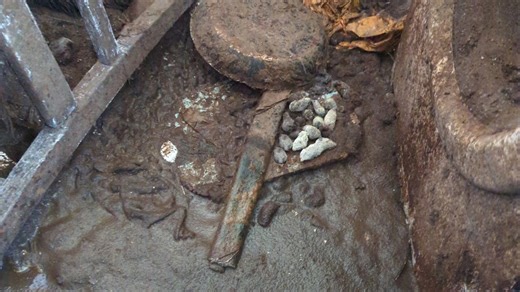 Woman locked up 4 dogs & left them to STARVE as she moved to new house