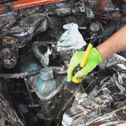 BARN FIND Pontiac LeMans Detailing Transformation | Scrub