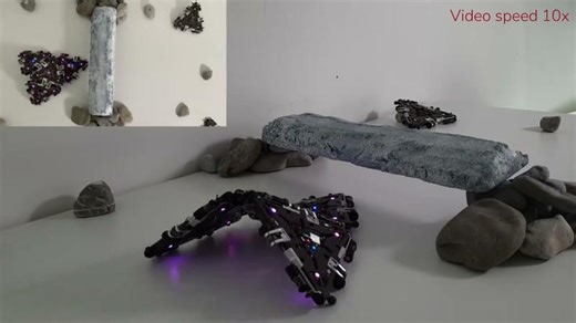 Resource-sharing boosts robotic resilience | EPFL School of Engineering