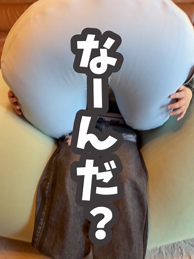 多機能なMega Moon Pillowの魅力