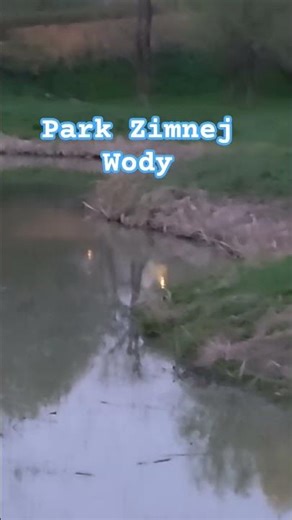 Park Zimnej Wody #shortvideo #stalowawola #polska #woda #park #woda #jezioro #wycieczka #spacer