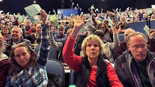 Vote-counting machine foes hoped for a surge of success in New Hampshire. They got barely a ripple