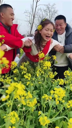 Watch Bees Buzz for Fun: Honey Harvest in Action