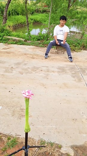 3.4K views · 17 reactions | Slowmotion video effect | Slowmotion King | Facebook