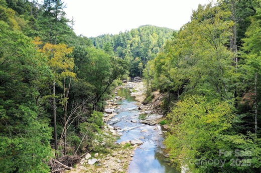 999 Hardison Fls Trl, Bat Cave, NC 28710 - MLS 4306329 - Coldwell Banker