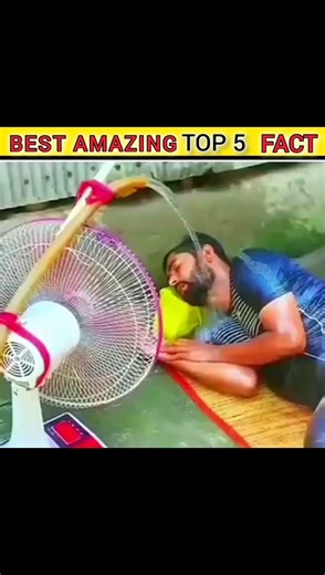 Best Amazing Facts 😱 #facts #factshorts