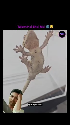 Arey Indians on Instagram: "Are bhai bhai 😂 . . #explore #explorepage✨ #viral #meme #fyp"