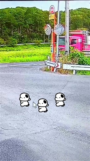 最近のパパラッチ活動について