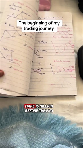 Beginner Trader's Journey