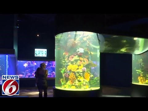 Daytona Aquarium and Rainforest Adventure opens