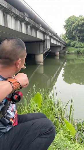 3.4M views · 11K reactions | The latest fishing method turns out to be done this way | Tao Liu | Facebook