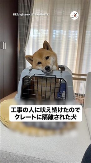 A face of remorse? | PECO