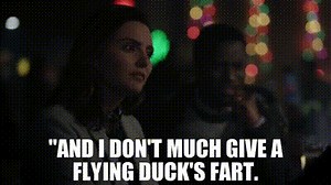 "and I don't much give a flying duck's fart.