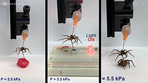 13 reactions | We're excited to share with you the second State of...