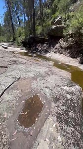 Video No 2. Well kept secret above the Dandongadale River Falls Adam Stefyn | Victorian Creeks and Rivers; Friends of Deep Creek