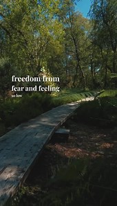 32 reactions · 14 shares | DV Survivor Trigger Warning ⚠️  I’ve had far too many requests for a poem on DV  Sending you love  Butterfly Credit - Susan Giles Wantuck #dvsurvivor #dvawareness #quoteoftheday #soothing60secs #soothingvoice #spokenword #spokenwordpoetry #poetrylover #3amthoughts #poetryofinstagram #quotes #instapoem #instagood #poetry #poetrylovers #lover #griefjourney | James Mooney | Facebook