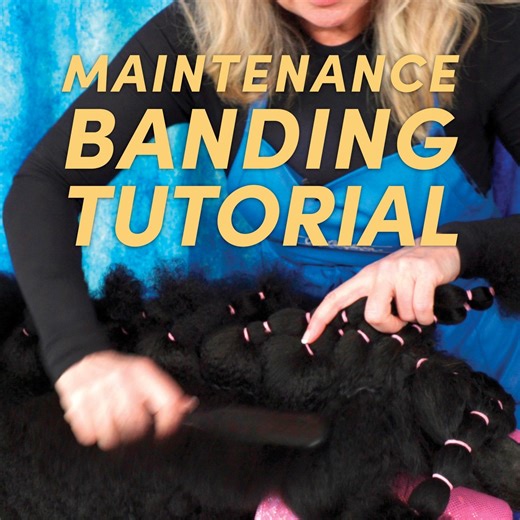 1.2K views · 24 reactions | The key to a healthy, well-kept Poodle...