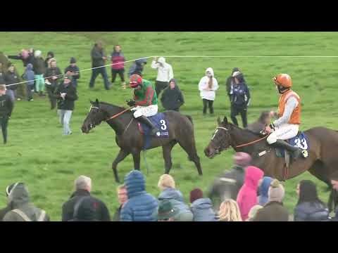 P2P - Inch - 01 Apr 26 - R2 Goffs Punchestown Sale 4yo Geldings Maiden