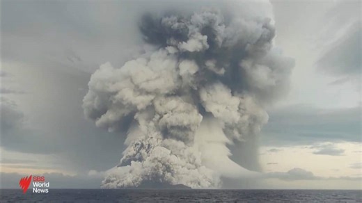 Signs of life emerging almost four years on from eruption of Hunga Tonga Hunga Ha'apai volcano