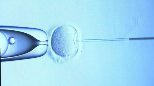 New insurance policy aims to provide relief for fertility treatments