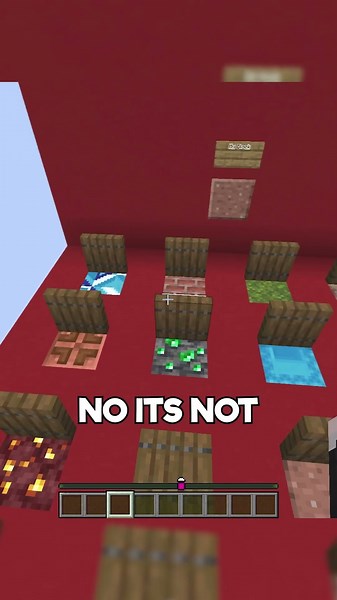 Minecraft Guess Who Challenge!