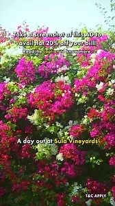 Enjoy Flat 20% Off your bill at The Tasting Room, Rāsā, and Starlight Terrace! Please Note: Offer valid on weekdays only, from Monday to Thursday. Simply take a screenshot and show it to your server to avail the offer. Discover the magic of Sula Vineyards, Asia’s finest vineyard. Indulge in the world of wines where every sip is a celebration of unmatched flavors and stunning views. Let Sula be your ultimate wine destination. Taste the Sula life. Book now! | Sula Vineyards