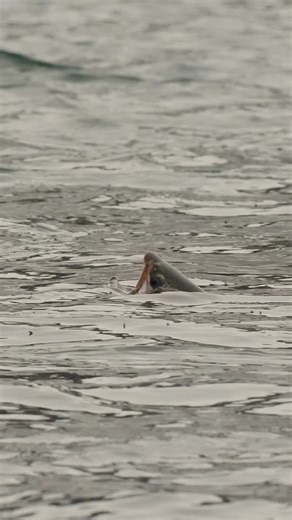 Winter Fly Fishing Tips for Catching Trout