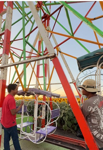 ลพบุรีไม่ได้มีแค่ลิงน๊าา #ทุ่งทานตะวันไร่คุณรํายอง🌻🌻 #ไร่ทานตะวันลพบุรี #ที่เที่ยวลพบุรี2025