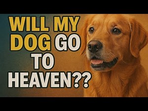 Do Pets Go to Heaven? 9 Biblical Reasons You’ll See Them Again (Christian Bible Study)