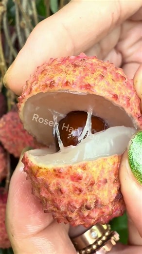 Cutting Fruit #sweet #fruit #lychee #fruitlovers #amsr #shortvideo