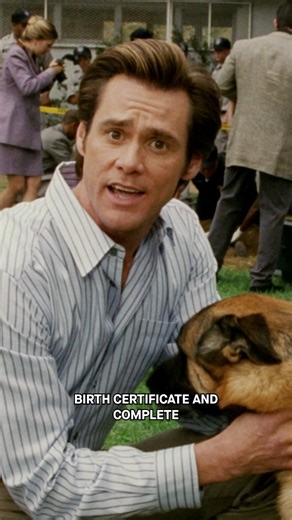 Hank deserves a badge and a key to the city 🐶🔑 🏙️ #BruceAlmighty #JimCarey #TNTMovies | TNT Drama