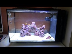 SALTWATER TANK BASICS and Setting up my Fluval Evo Aquarium!