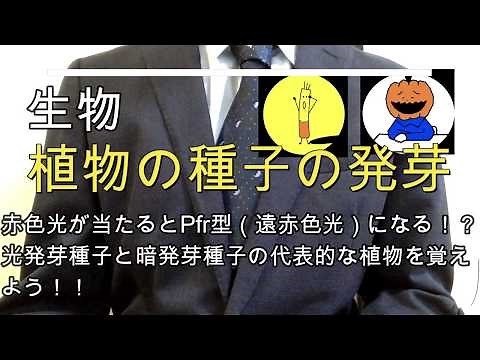 High school biology (specialty) "Germination of plant seeds"