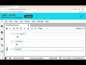 Casting string variables to numbers in Python (CS105 at UIUC)