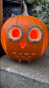 Owl Pumpkin Carving 🎃🦉