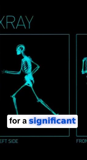 How Bone-Crushing Dogs Rewrote the History of Canid Evolution