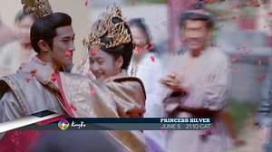 It's been a long time😁! How are you guys doing lately? I'm glad to introduce our new series—Princess Silve—to all of our fans.💕 The story begins with Rong Le, a princess of the royal family of the Xiqi Kingdom who wakes up one day to find that she has lost her memory. She is ordered to marry Zong Zheng Wu You, seventh prince of the neighboring Beilin Kingdom, though her husband-to-be refuses to let her inside his manor. However, she was sent to Northern Lin for another reason. Unable to return