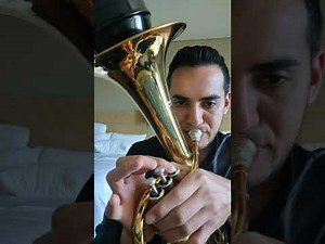 El Búho (Tutorial de Armonía) 🔥🔥