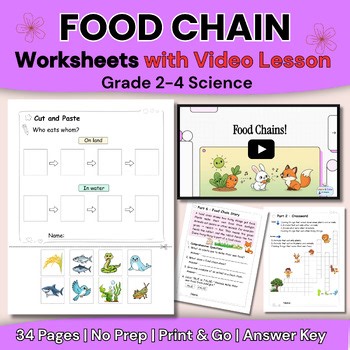 Food Chain Worksheets with Video Lesson | Grades 2–4 Science