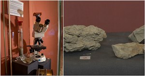 Research on pottery in prehistoric Malta featured in Museum of Archaeology exhibition