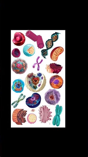 cell the basic unit of life|#motivation #science#biology#neet #education#11th#facts#exam #goals#aim