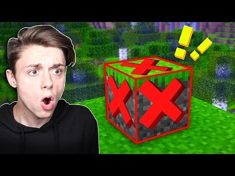 Beating Minecraft WITHOUT placing a SINGLE BLOCK!
