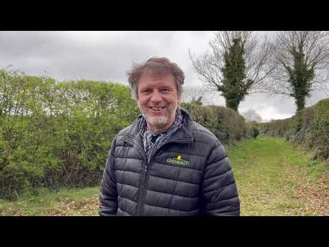 Pronounce the Celtic Fire Festivals in the Wheel of The Year: Samhain, Bealtaine, Imbolg, Lughnasad