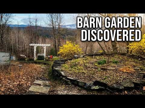 Old Barn Shade Garden Tour | Spring Discoveries + Forsythia in Bloom! 🌼