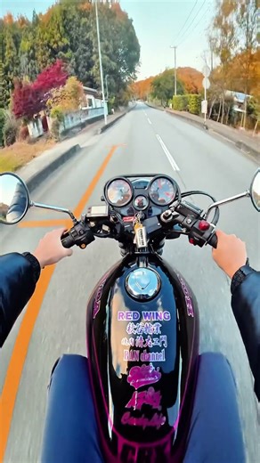 【紅葉ツーリング】紅葉の絶景山道を極上CBX400Fで爆走したらカッコ良すぎた❗️#暴走族 #旧車會 #バイク女子 #ツーリング #CBX400F #GS400 #ばんちゃんねる