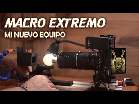 FOTOGRAFÍA MACRO EXTREMO | Nuevo setup
