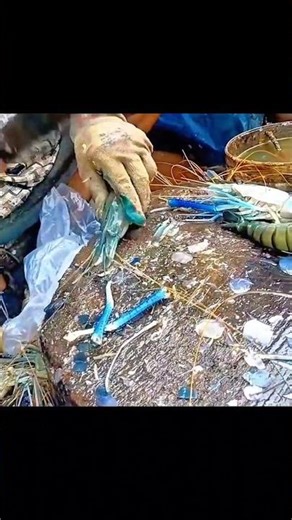 A perspective documenting the new techniques of fish cleaning and deboning at rural markets. #fish