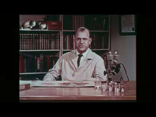 Cave Life: Speciation and Adaptation in Dark Environments