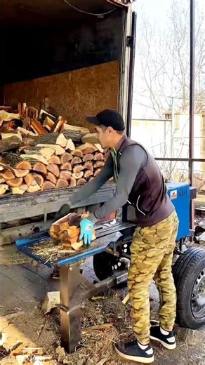 Log Splitter #logsplitter #firewood