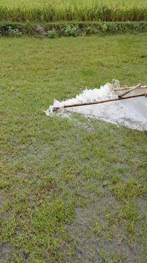 1.4M views · 2.7K reactions | Village Boys' Rare Traditional Fishing Method in Nature - Description #fishinglife | SM Fishing | Facebook